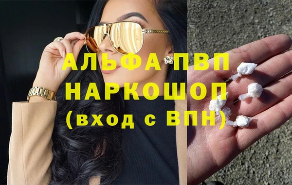 хмурый Инсар