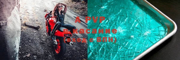 стафф Нефтегорск