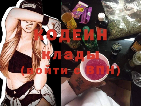 индика Иннополис