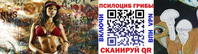 Псилоцибиновые грибы Cubensis  где купить наркотик  Россошь 