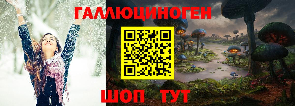 Псилоцибиновые грибы Psilocybe  купить наркотики сайты  Россошь  Вход с VPN 