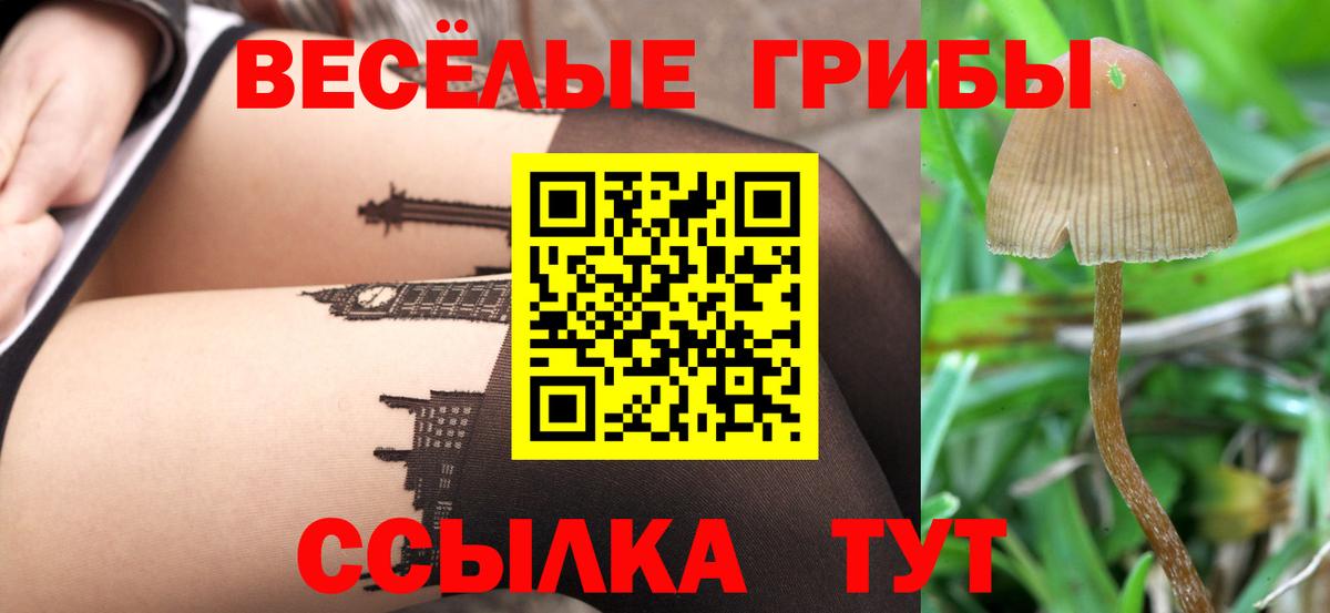 Галлюциногенные грибы ЛСД  Россошь 